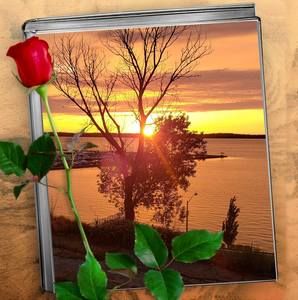 Meet your Posher, Raouf